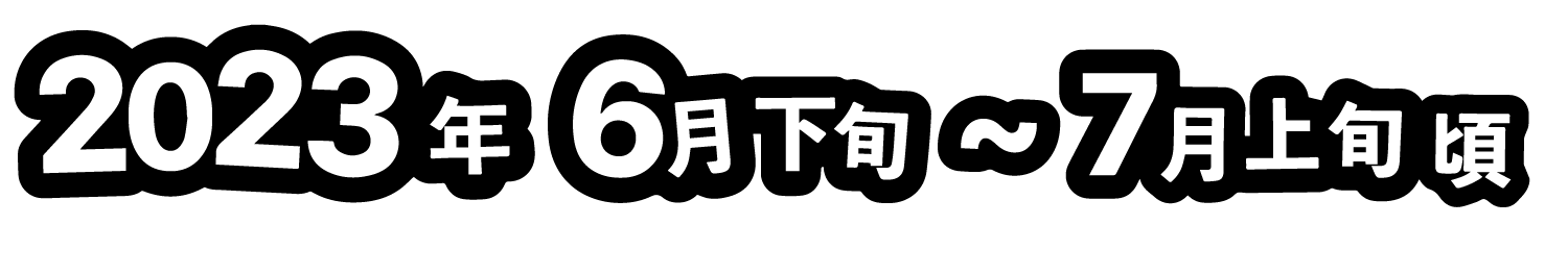 2023年6月下旬〜7月上旬頃